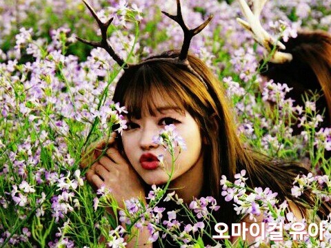 우리가 몰랐던 묵은지 | 인스티즈