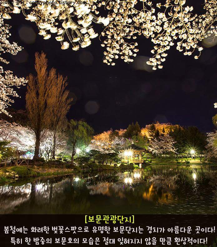 혼자 떠나기도 좋은 경주 여행 | 인스티즈