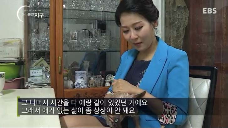  당신은 반려동물과 이별할 준비가 되었나요? | 인스티즈