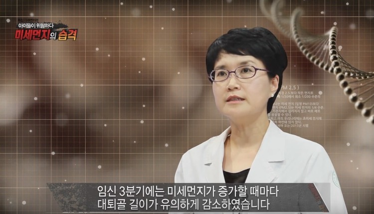 미세먼지가 위험한 진짜 이유 | 인스티즈