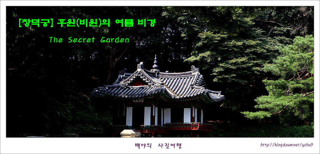 비원 이미지