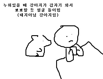 강아지가 뽀뽀해달라는 듯이 얼굴 들이밀 때 공감 | 인스티즈