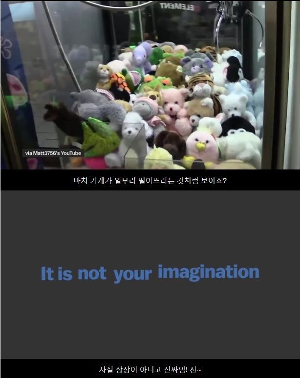 인형뽑기의 진실 | 인스티즈