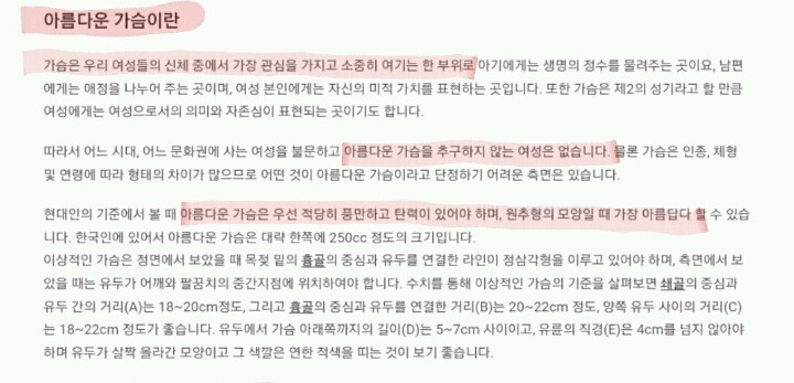 아름다운 가슴의 기준 | 인스티즈