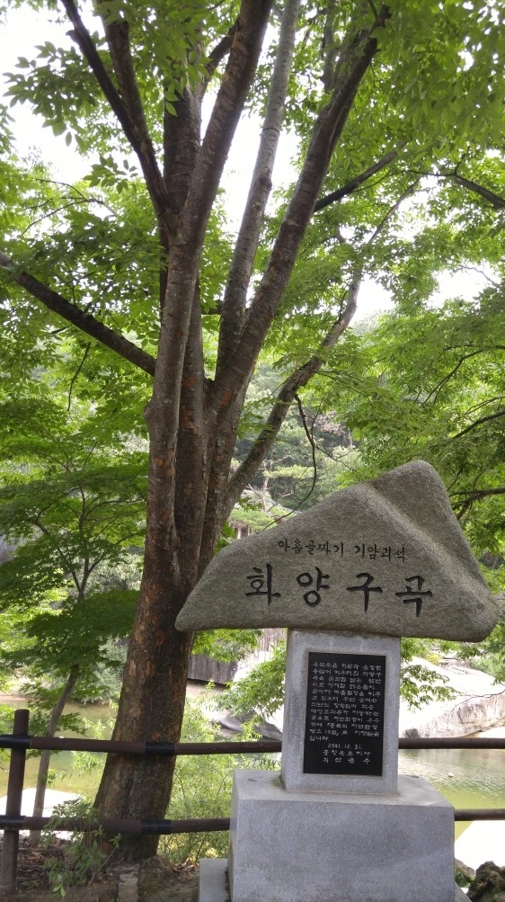 화양일화 이미지