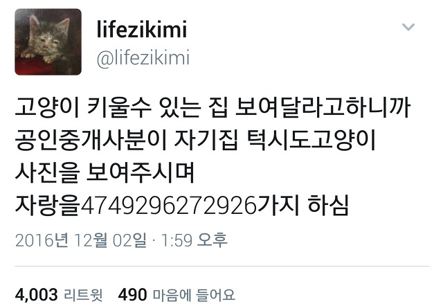  다시 돌아온 트위터 아무말대잔치55555.twt | 인스티즈
