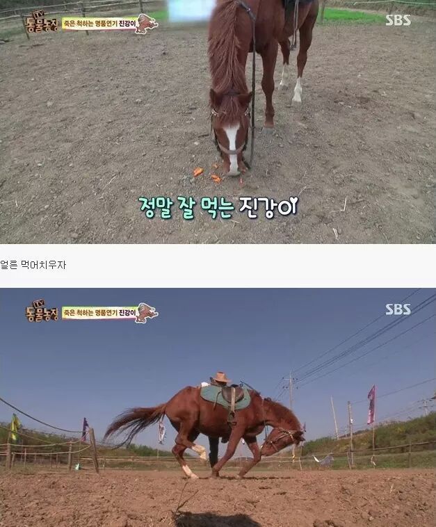 말도 안되는 말 | 인스티즈