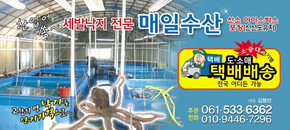 해남뻘낙지 이미지