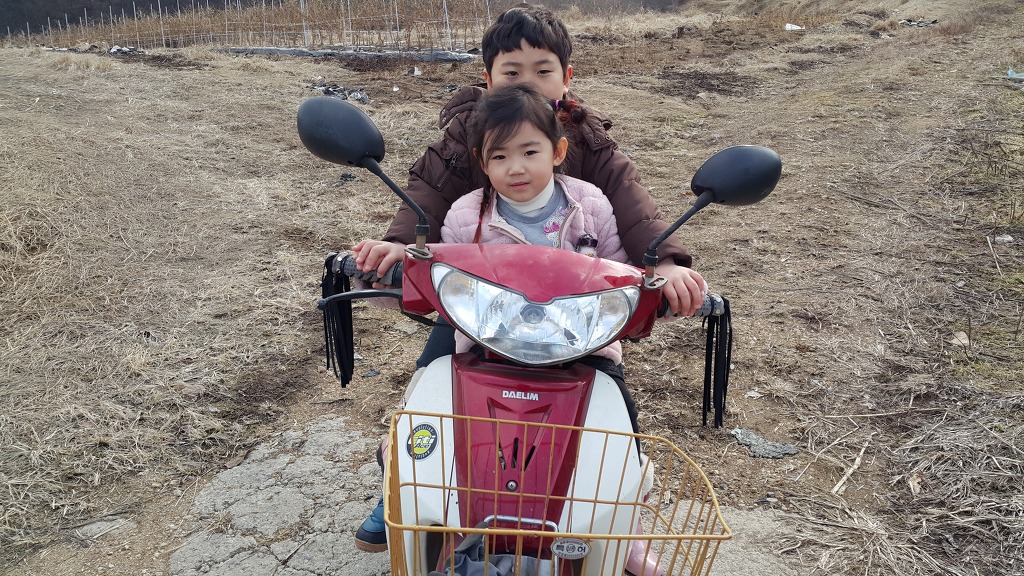 홍루 이미지