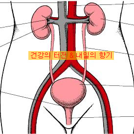제나통상 이미지