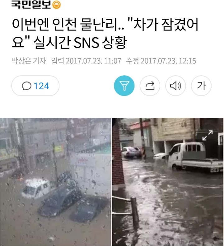 침수된 차량 위에 올라간 고양이 | 인스티즈