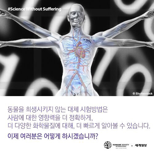 [필수!] 동물실험반대서명 하고가세요!!! 당신의 한서명이 몇천 몇만마리의 동물들을 살립니다!!! 서명하고 하는일마다 잘풀리는 복받아가세요~!! | 인스티즈