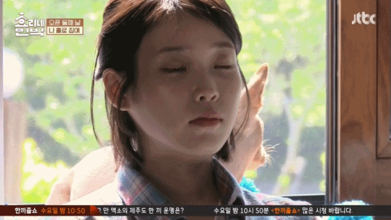 민박집에서 멍 때리는 아이유 | 인스티즈