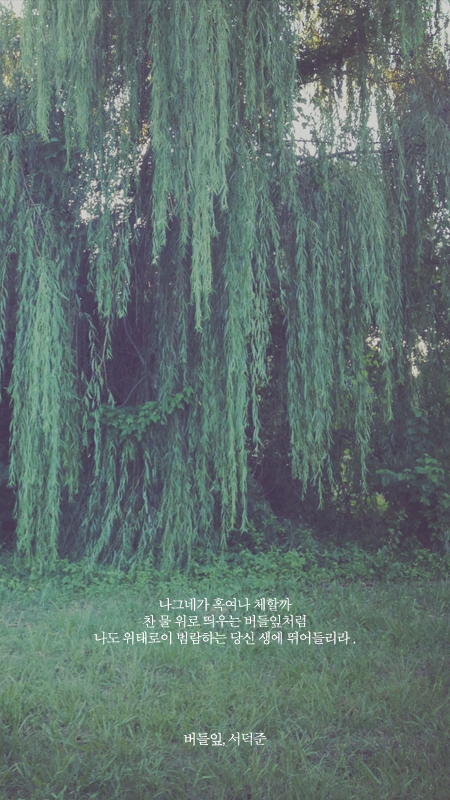 예쁜 시 구절이 적힌 폰배경화면 일곱 번째.jpg | 인스티즈