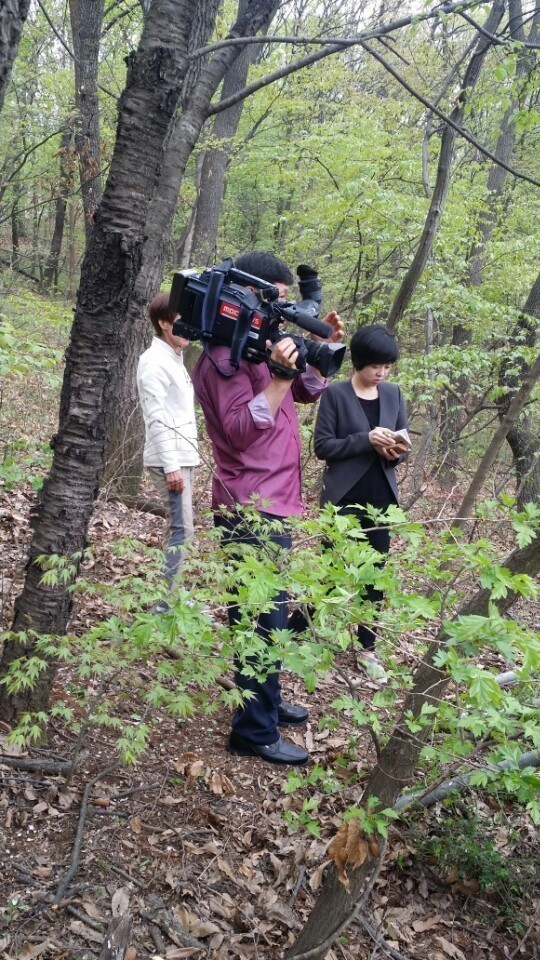 안락사없는 보호소 내사바가 철거를 앞두고 모자른 공사모금비 모금중이에요ㅠㅠ 냥이사료,목줄,모기향 등도 부족해요 (불법개사육장에서 구조된 아이들 이야기) | 인스티즈