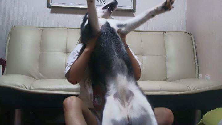 고양이 모자가 부러웠던 여자 | 인스티즈