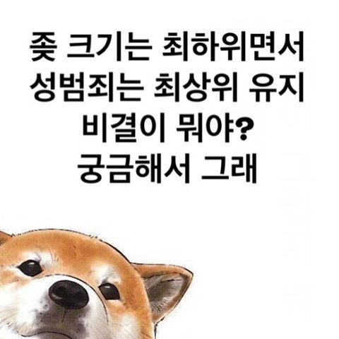 인스타그램의 계정ㅋㅋㅋㅋㅋ | 인스티즈