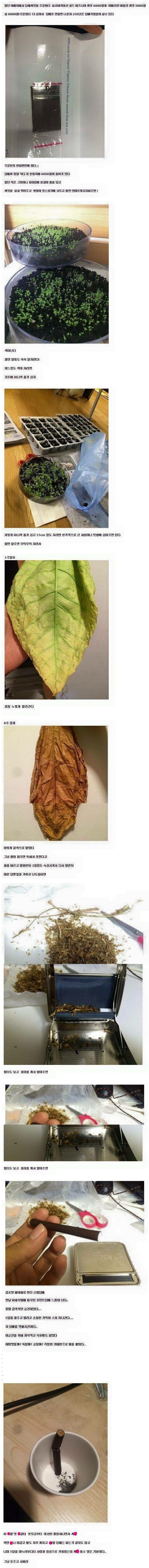 흔한 애연가 | 인스티즈