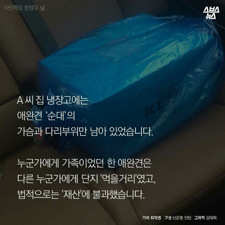 제 강아지가 잡아먹혔습니다 | 인스티즈