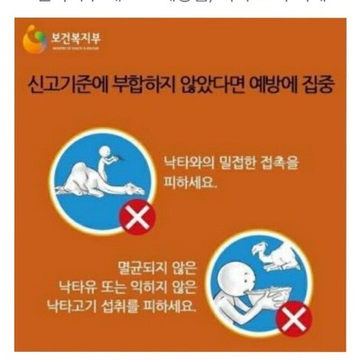  2015년 인터넷 핫이슈 결산 | 인스티즈