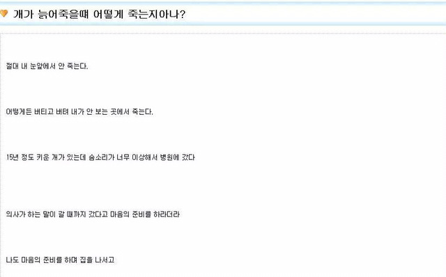 강아지가 우리 곁을 떠날 때 | 인스티즈