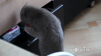 도둑질하다 걸림.gif | 인스티즈