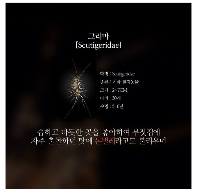 벌레 죽이지 마세요... | 인스티즈