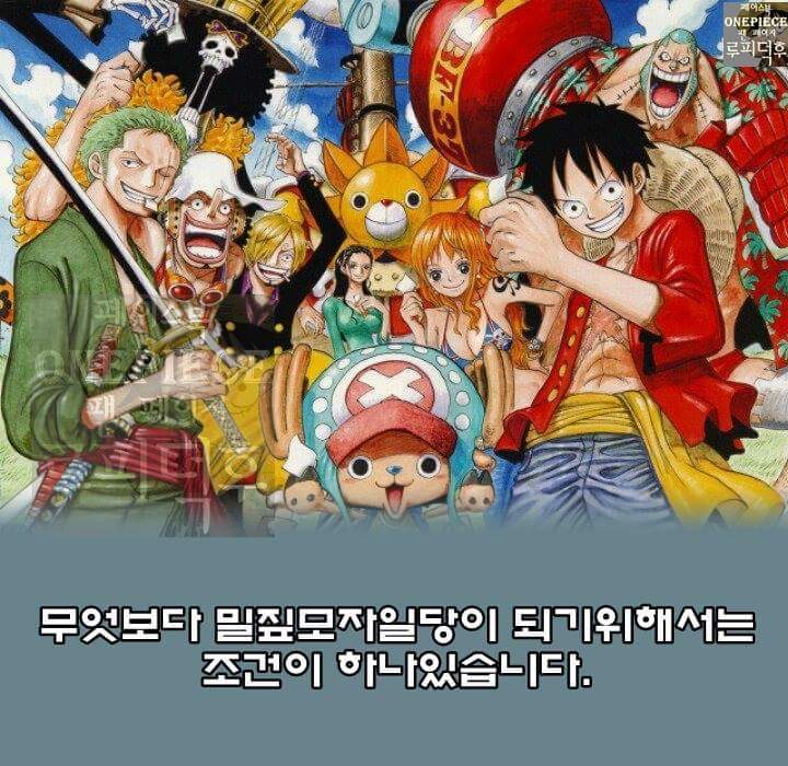 #징베가 #루피의 동료가 될 수 있는 확실한 이유 | 인스티즈