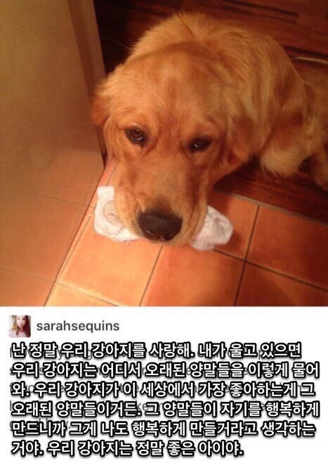 네가 슬퍼하지 않았으면 좋겠어 | 인스티즈