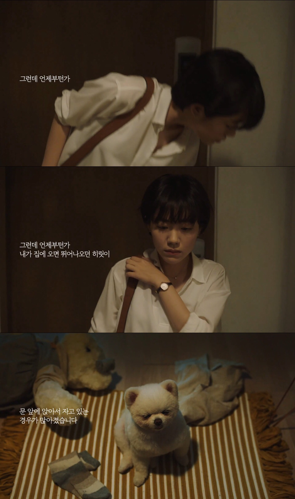 [눈물주의] 반려동물 반려인이라면 홀린듯 끝까지 보게 되는 유튜브 광고 | 인스티즈