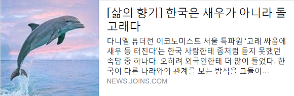 한국은 새우가 아니라 돌고래다 | 인스티즈