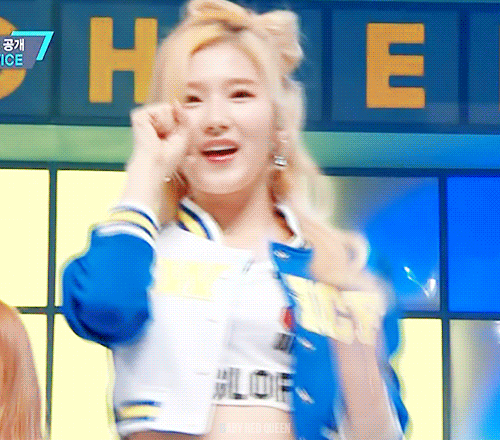 카메라 못찾는 트와이스 사나 .gif | 인스티즈