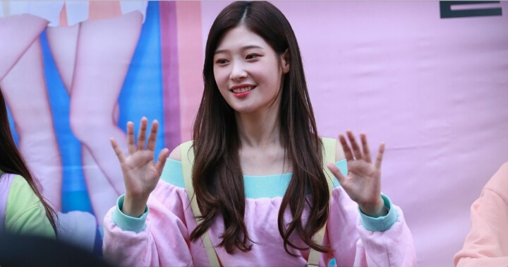 꽃미모 댕채연 | 인스티즈