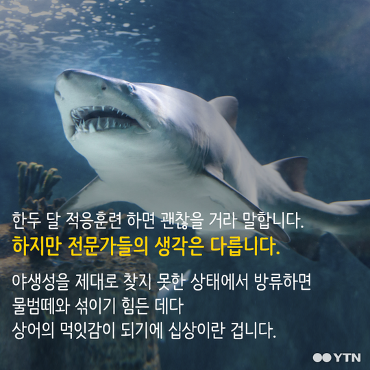 멸종 위기종을 수족관에 전시하는 이상한 나라 | 인스티즈