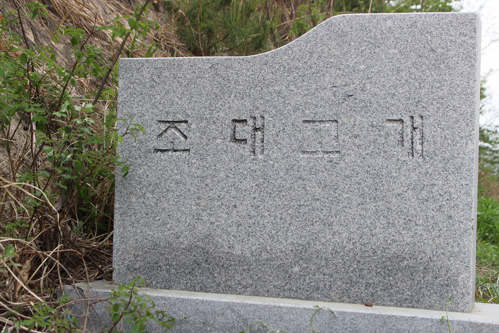 산철죽 군락지 이미지