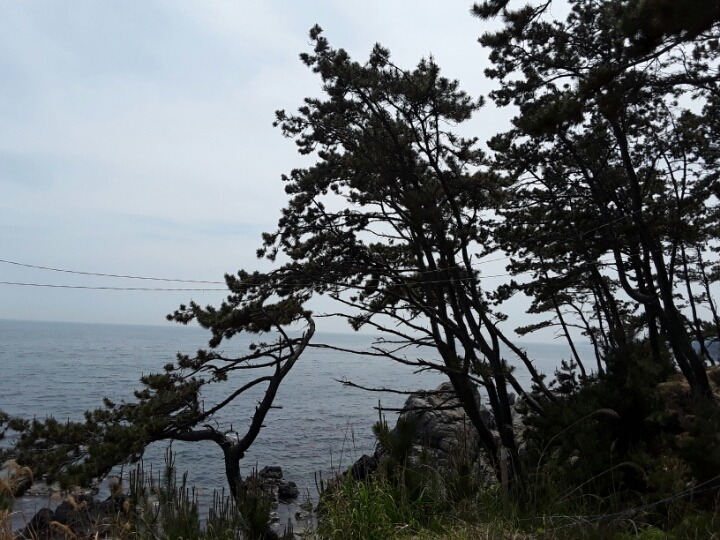 유경개발 이미지