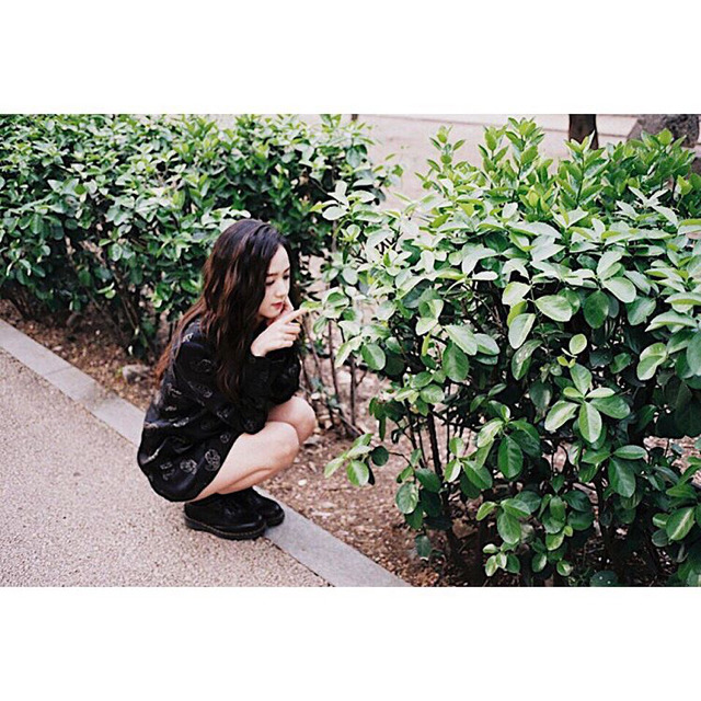 블랙핑크 인스타그램 폭풍 업뎃.jpg | 인스티즈