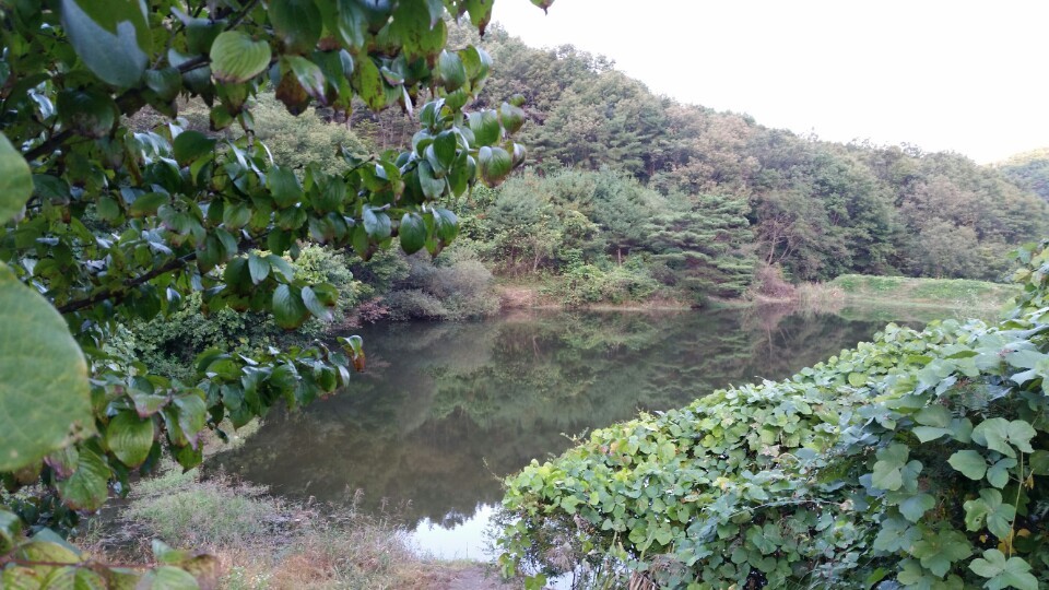 안골관광농원 이미지