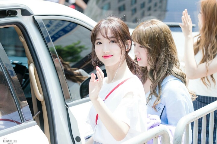 [트와이스] 나정효 출퇴근길 모음 | 인스티즈
