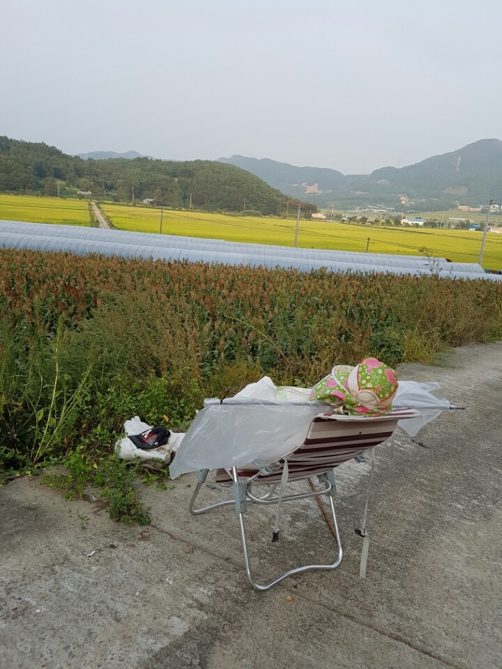 보물단지 이미지