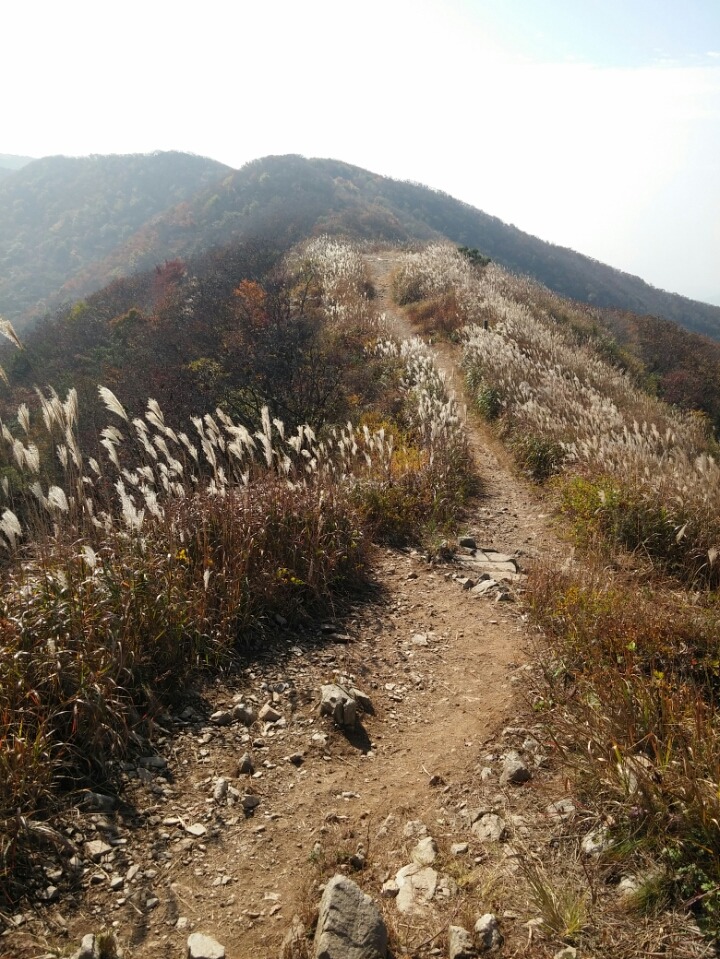 오서산 이미지