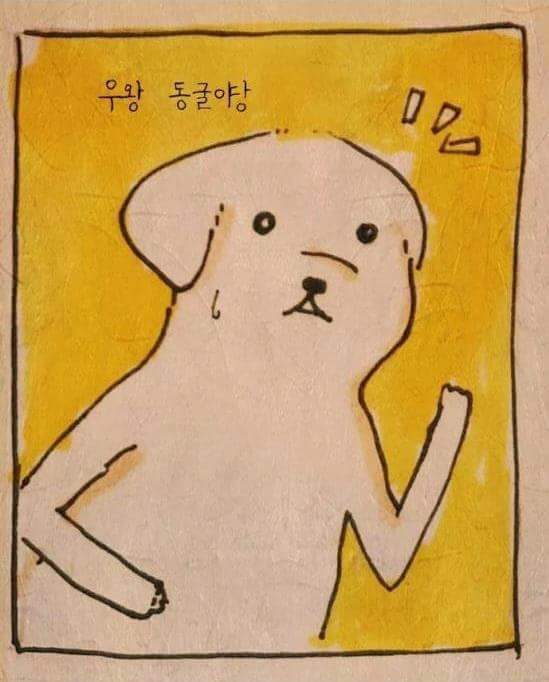 쫒기던 개 | 인스티즈