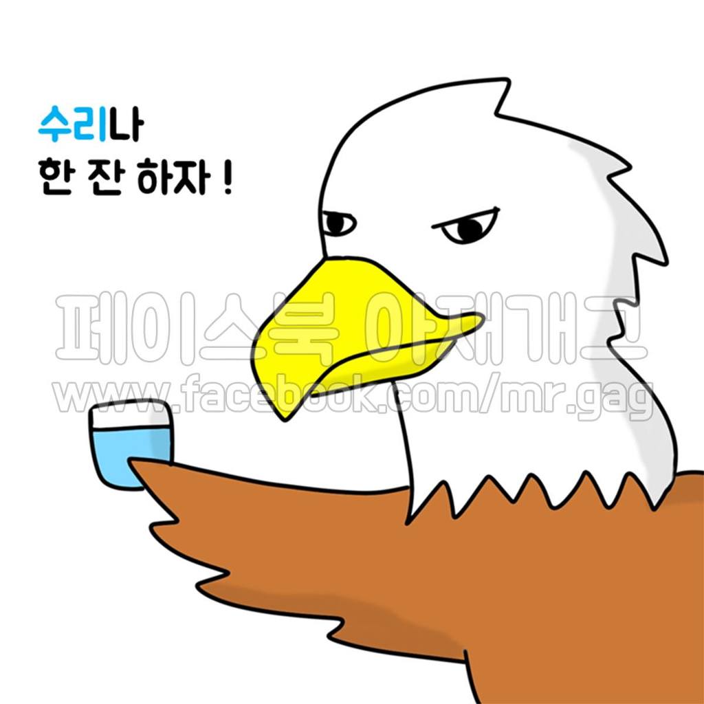 새들이 술 마실 때 | 인스티즈