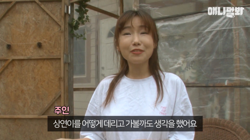 혼자 버스타고 지인 만나러 가는 강아지 상연이.jpg | 인스티즈