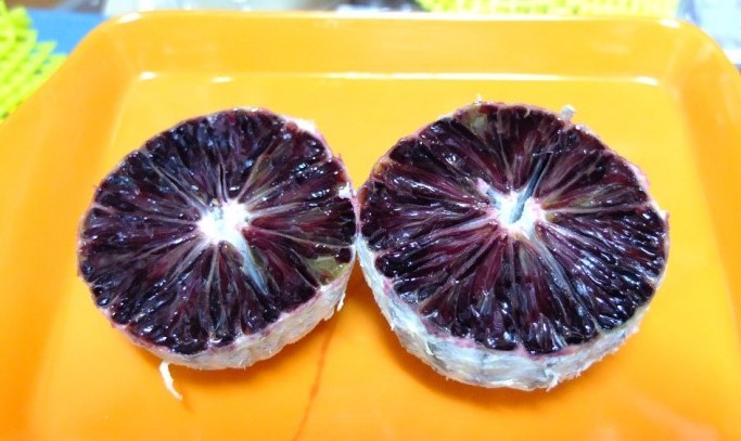 외국에 파는 블러드오렌지.jpg | 인스티즈