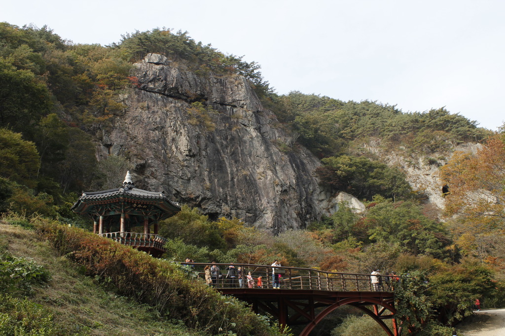 산수정 이미지