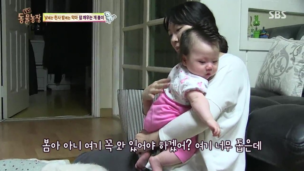 [동물농장] 새식구 들어온 후 우울해진 봄이.jpg | 인스티즈