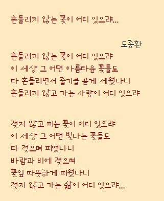 루아 이미지