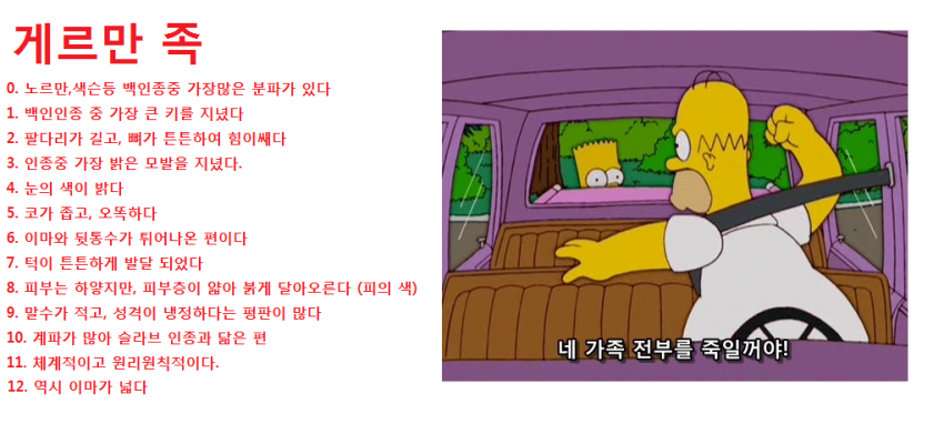 백인 인종별 특징 | 인스티즈