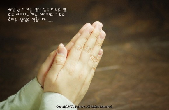 내음성 이미지